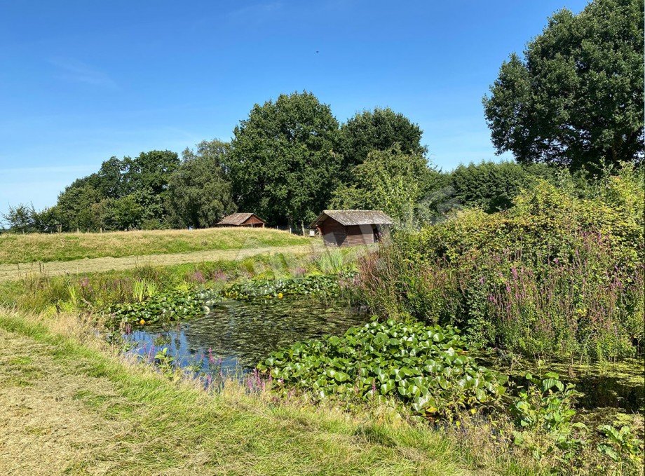 Eindr�cke Teichanlage Landhaus Vechta