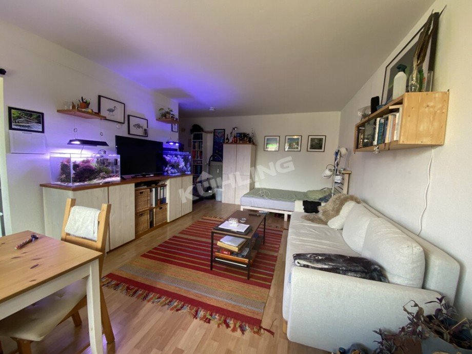 Wohn- und Schlafzimmer Erdgeschosswohnung Oldenburg