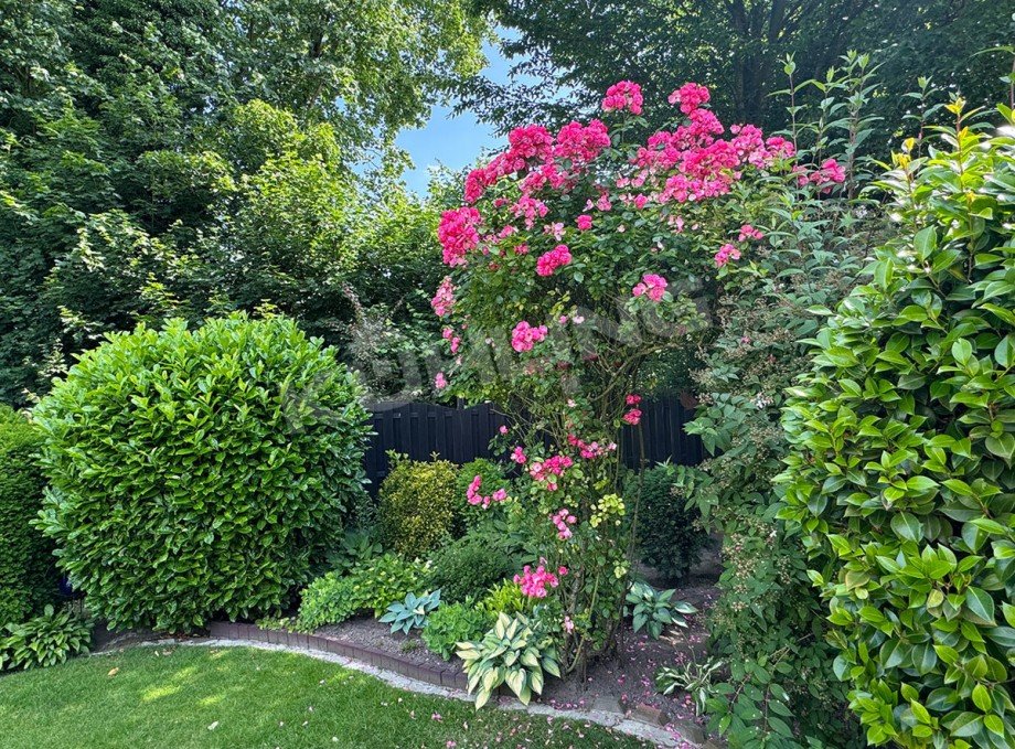  Einfamilienhaus Vechta