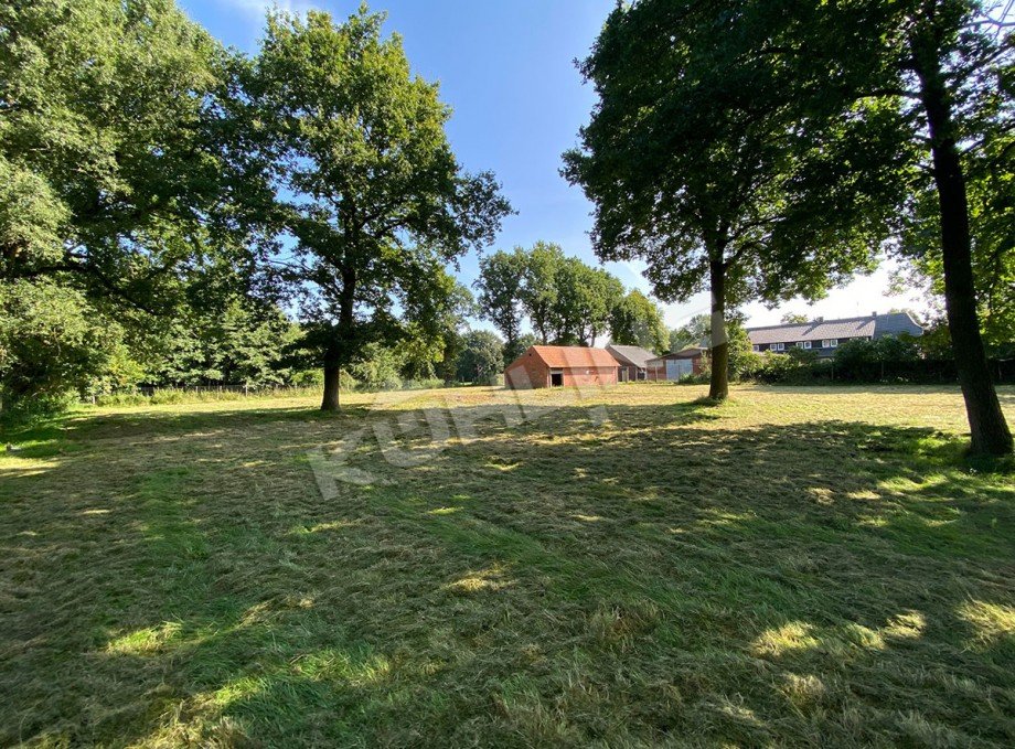 Gehege bzw. Weidefl�che Landhaus Vechta