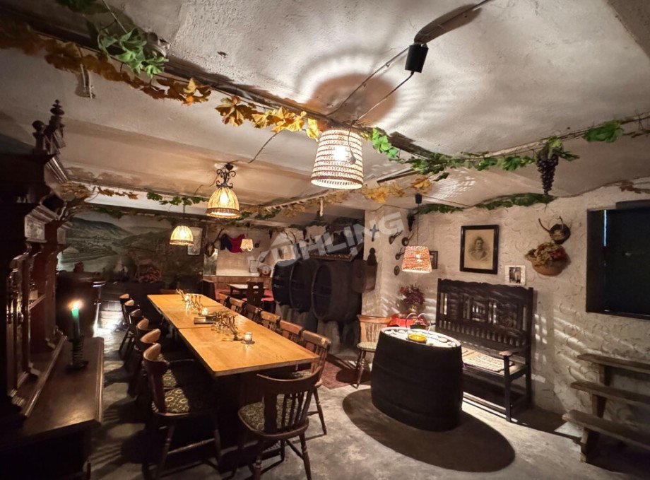 Geschichtstr�chtiger Gew�lbekeller Haus Lohne (Oldenburg)