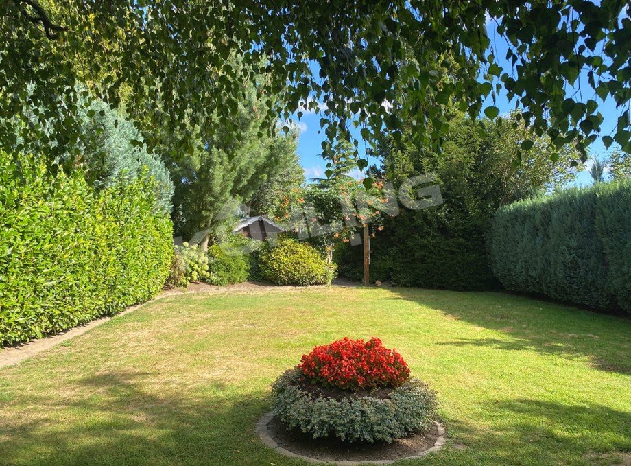 Einblick in den Garten Einfamilienhaus Twistringen
