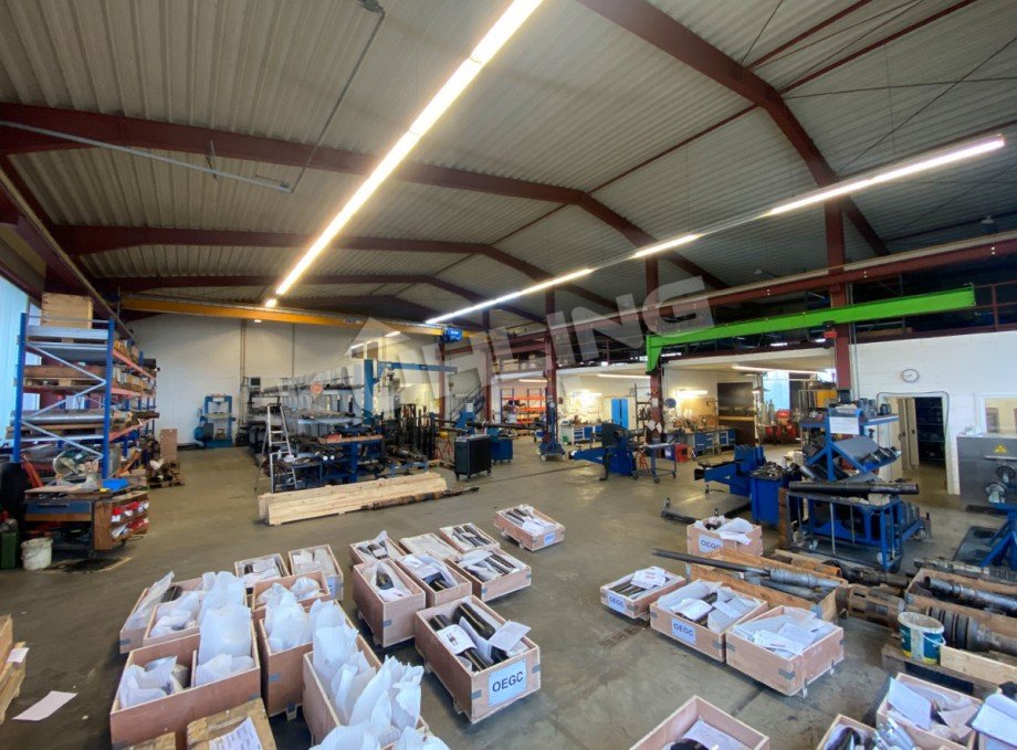  Halle Goldenstedt / Lutten