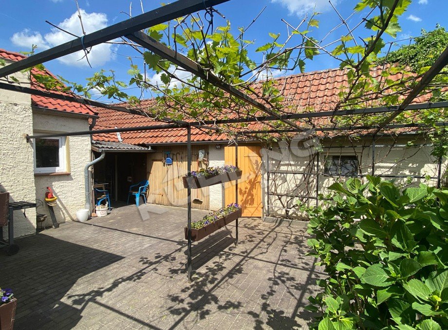 Weinlaube Einfamilienhaus Barnstorf